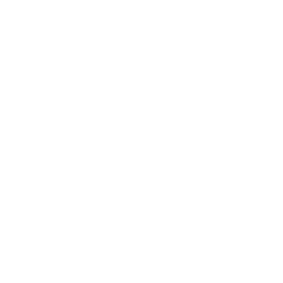 svo-email-icon