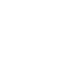 svo-phone-icon